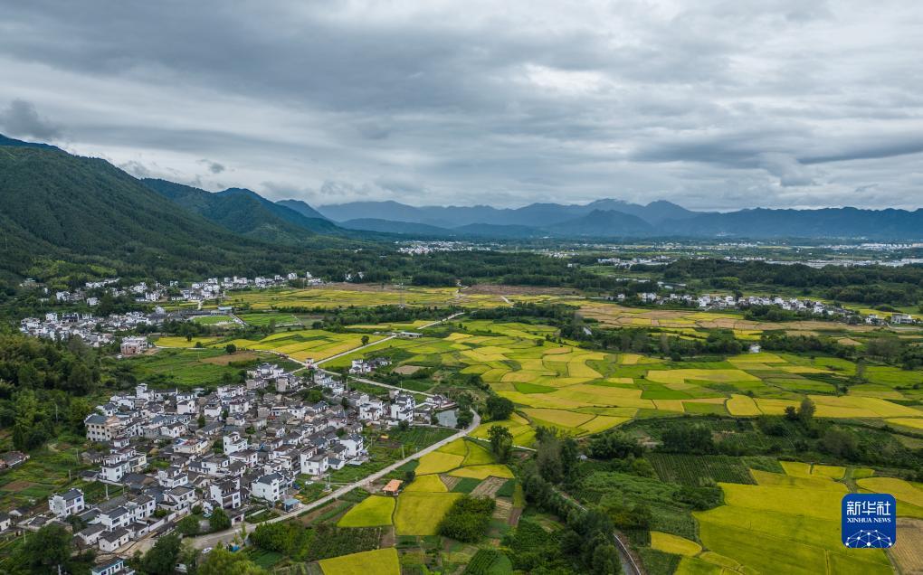 永利澳门登录